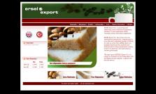 Web Site Projeleri   